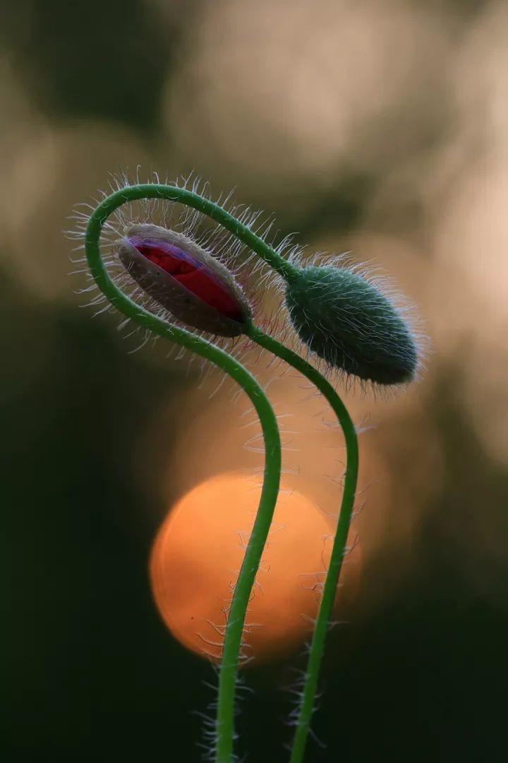 15280865769213361ee52bd