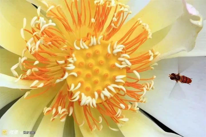 1528086577072b490501d1d