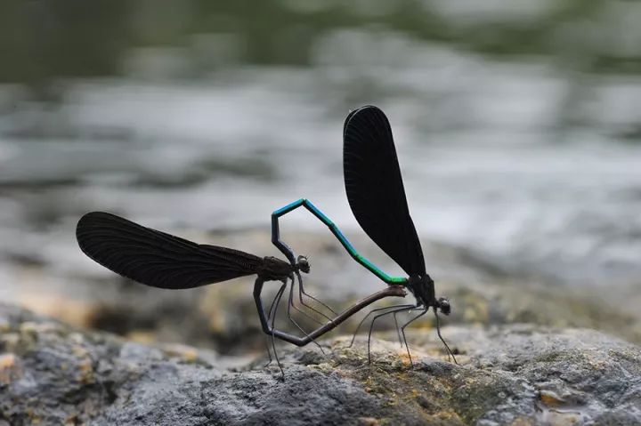 1528086577340a210dde5f2