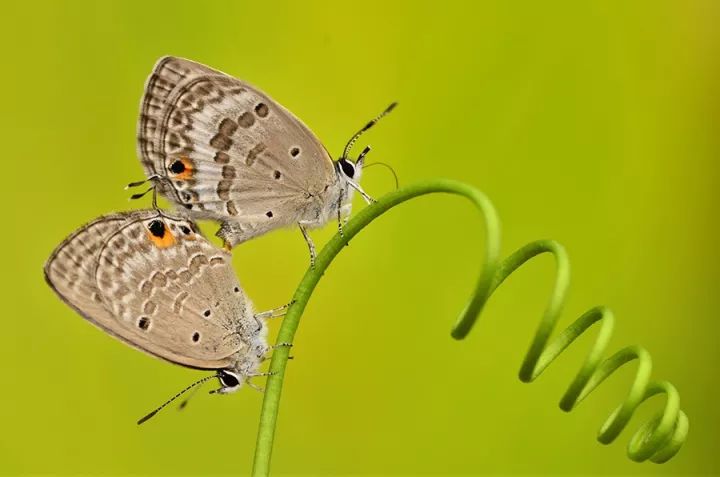 1528086577345b837f4d6ae