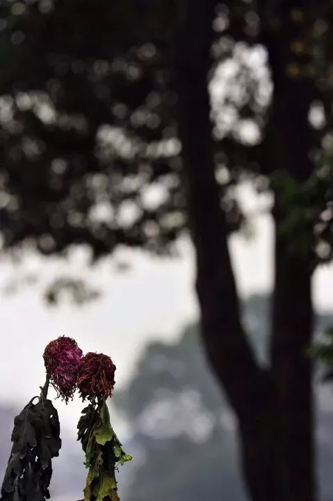 15280865774587dc15ff5c4