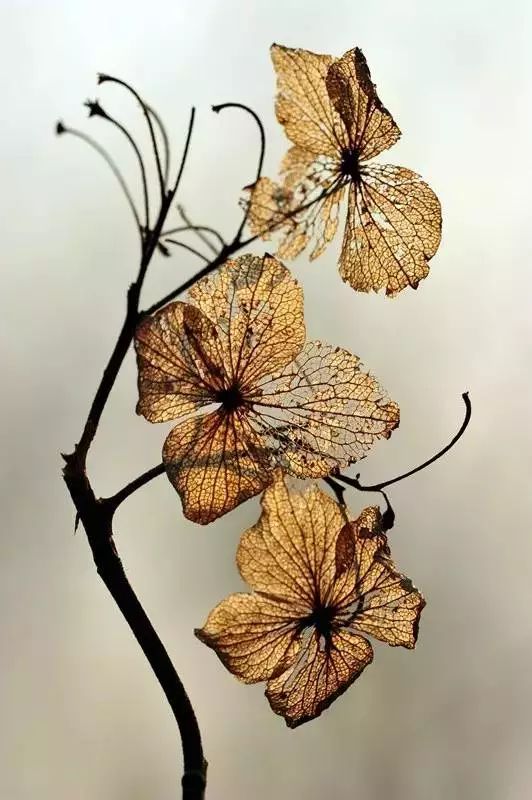 15280865778100e0c221501