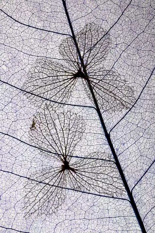 15280865777094f313536b8