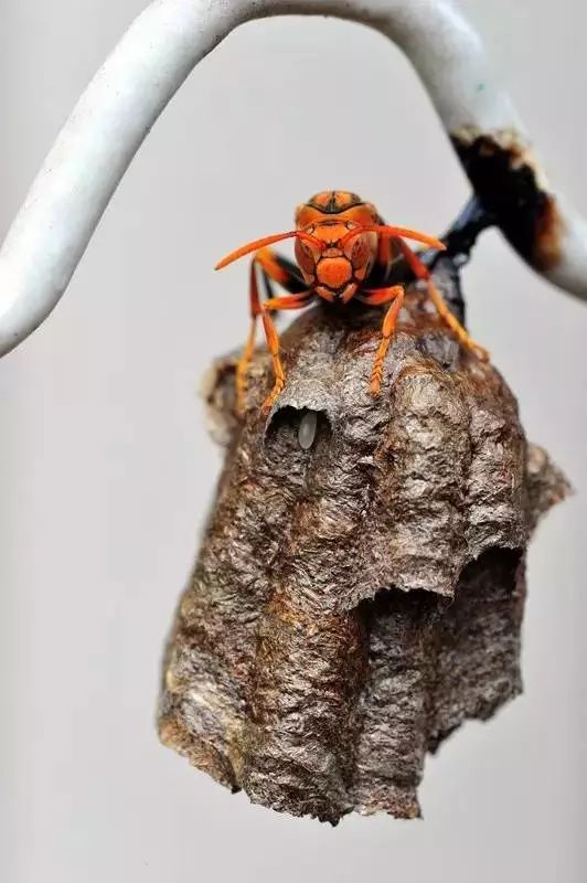 1528086577902393b06d85b