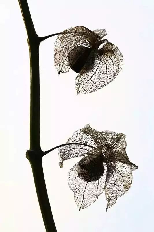 15280865780610f1a2e37ce