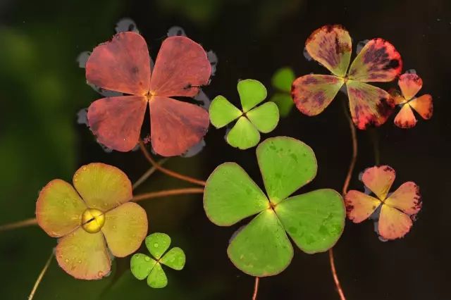 1528086577955d743b13743