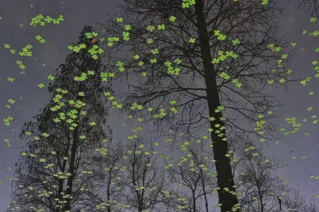 15280865779738b76c9011b