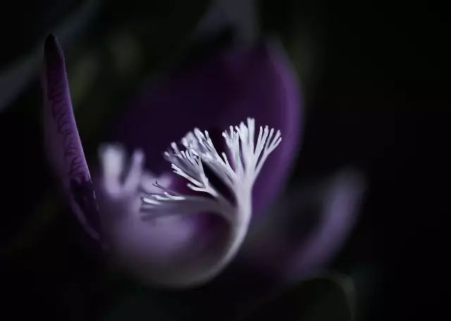 1528086578175b0d9807663