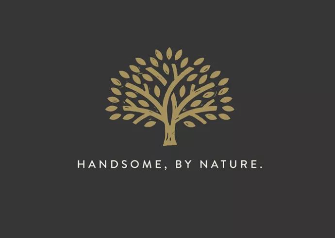 1526862259350455ac3cfff