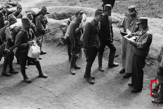 152705165474455c8f29260