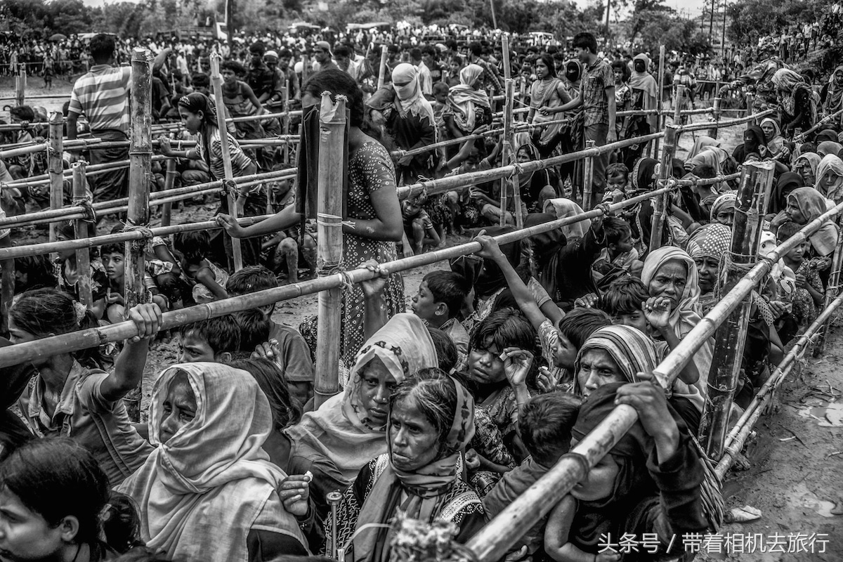 15247929350269a40b9a769