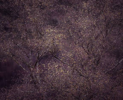 1527131240608882c731fcf