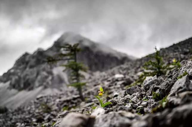 1527131244057c30706db89