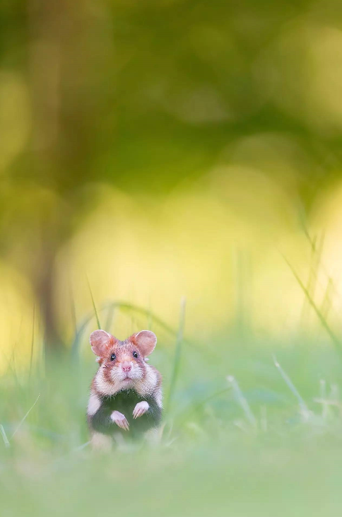 152713124561200ab48d14b