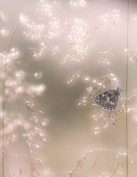 1527131245341ee0d7116d3