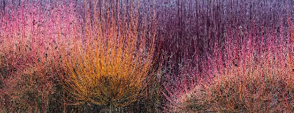 15271312477133098344d07