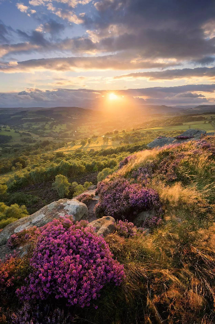 15271312490273a934d7104