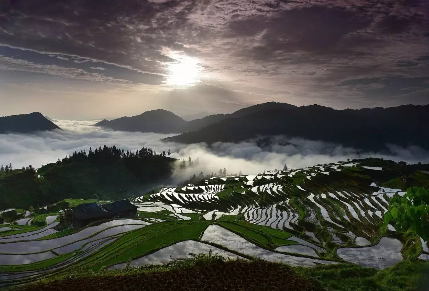 15271312523484342993e1c