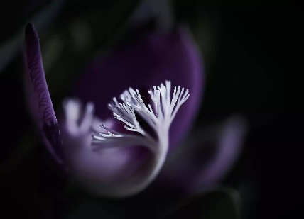 1527131252528d672de077d