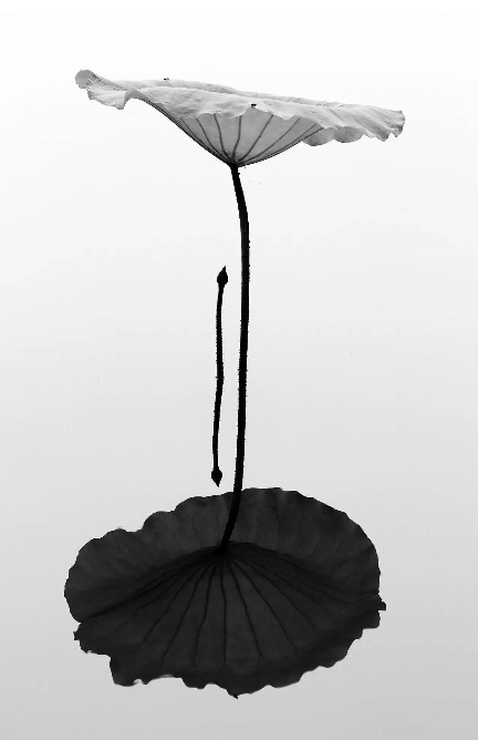 1527131253836dff25adf58