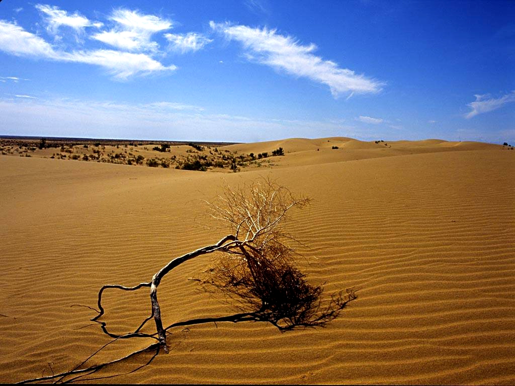 1524451283562b22dff6b6c