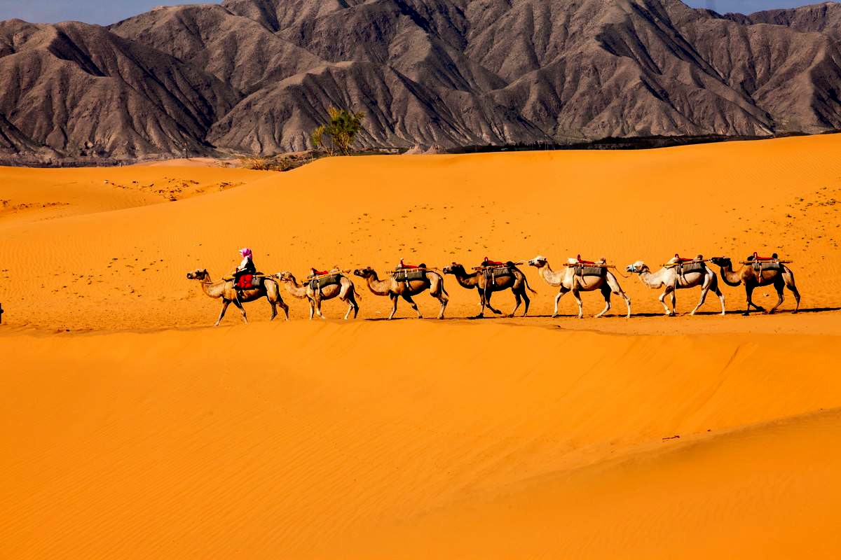 152445128563552424e89cd