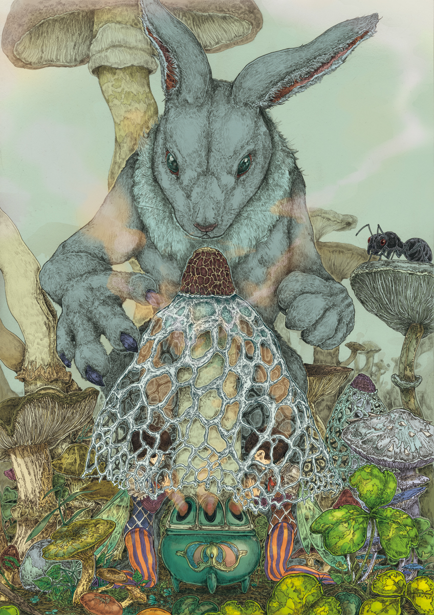 152705447297310d6b43a04