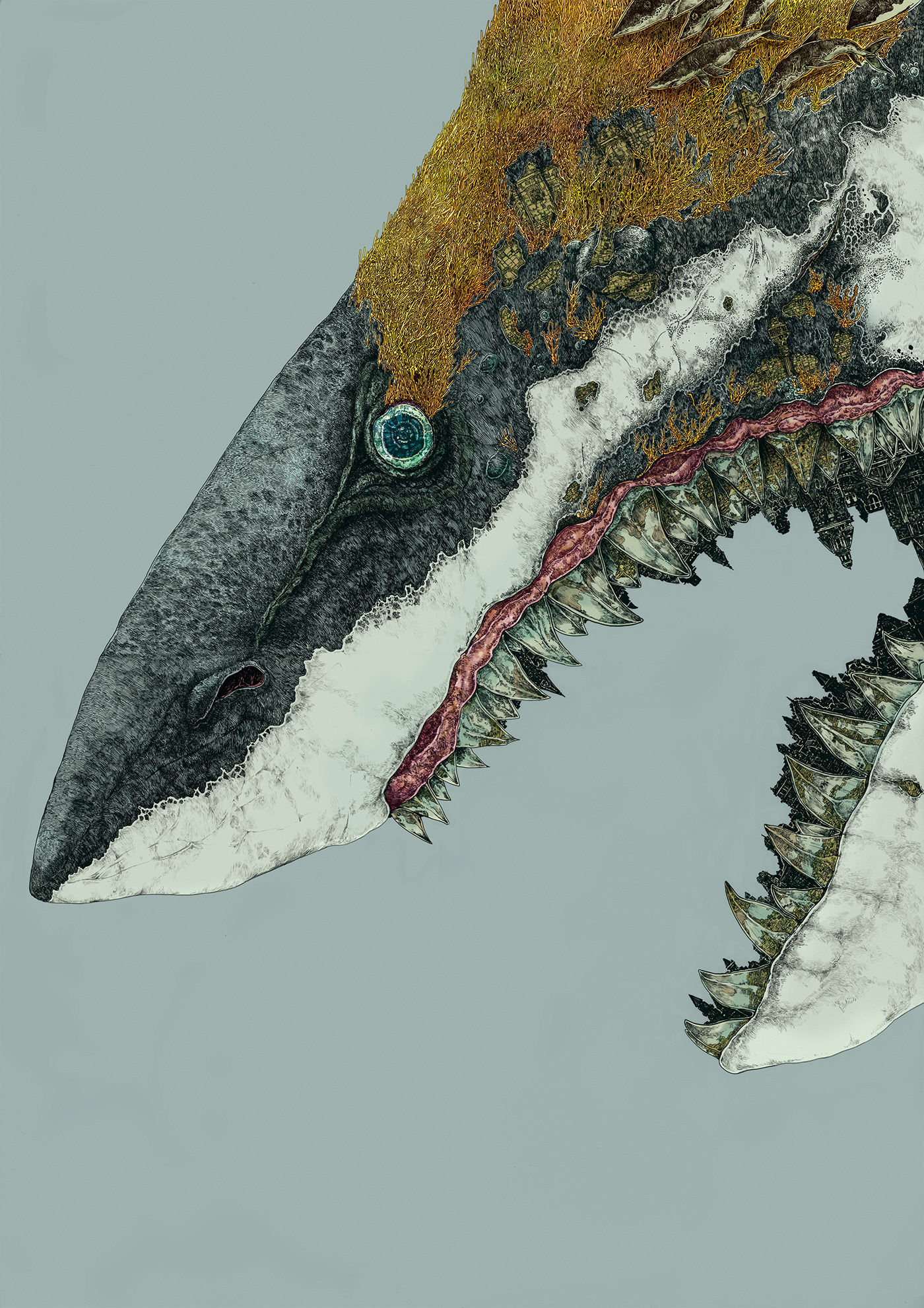 1527054480005a1268b8168