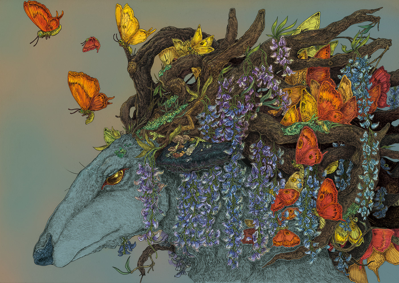 1527054480213df0867e962