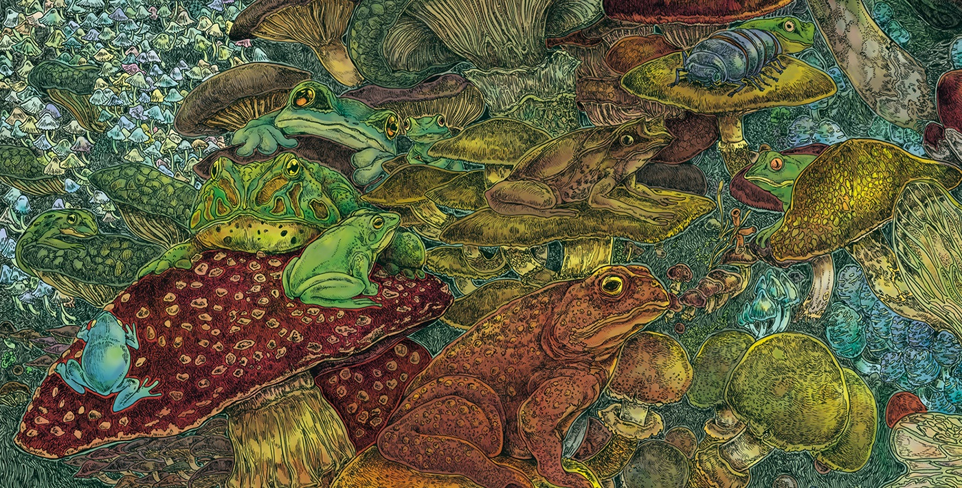 1527054483392bcacab6977