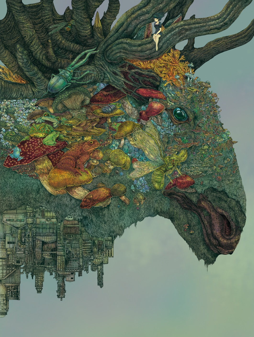 1527054484085b7dadf6614