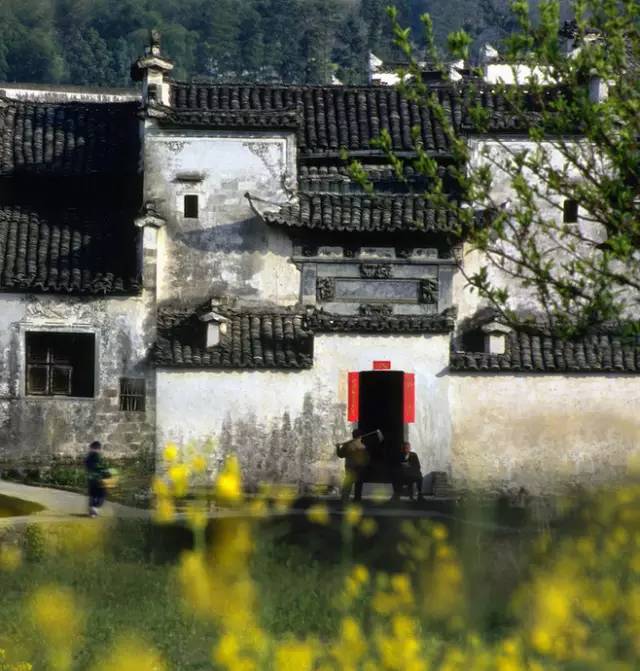 1525759698835e6013a14f1