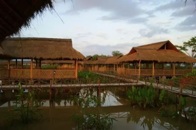 1525759701405905af7e3fb