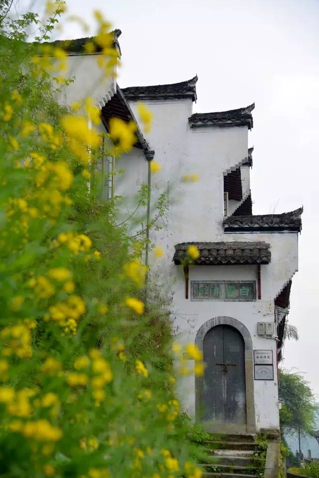 1525759776525dc4787fc38