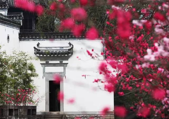 1525759776503734be20960