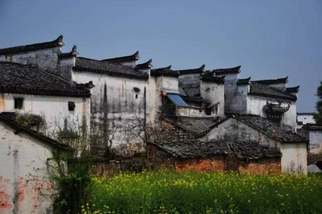 1525759776572361eaa252b