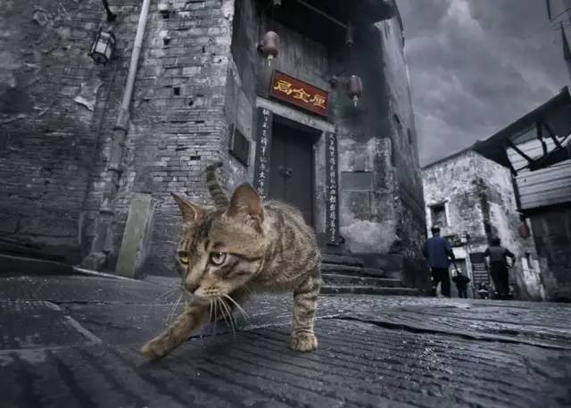 1525529187102f2b4fa1dd7