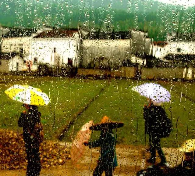 1525529187118d118cc7896