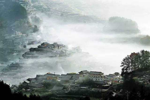 1525529187290c5f699f58b