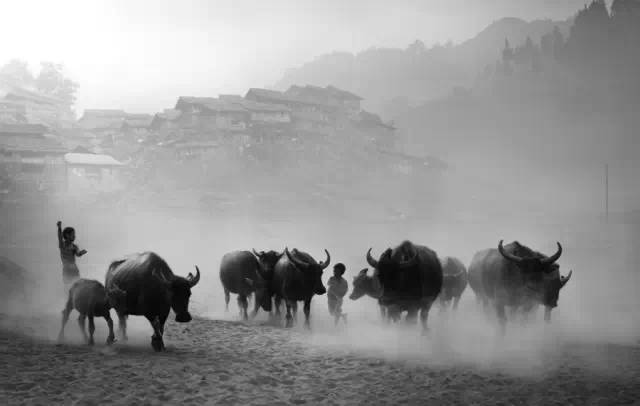 15255291872029075173682