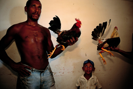 153036271051959a24aeb24