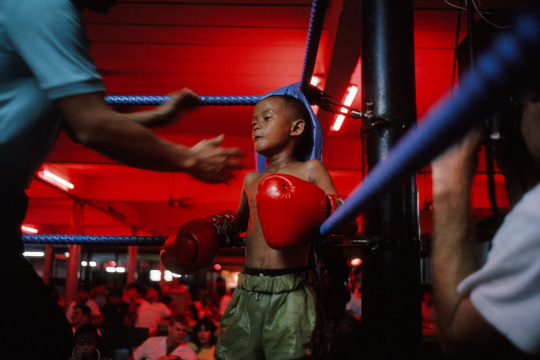 1530362710787715a7bd040