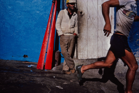 15303627109459303c87197