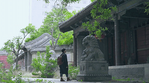 1529443817551b1dabc90ed