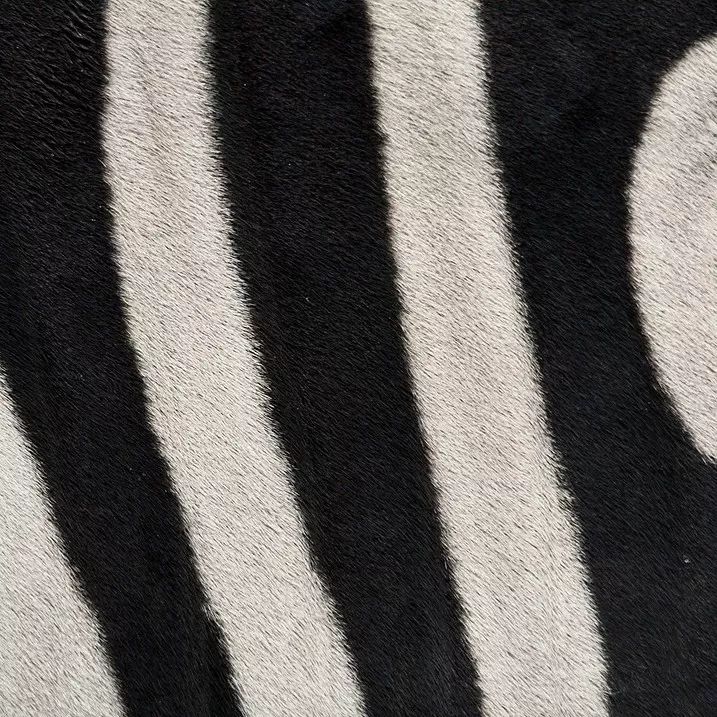 1530026856604fac966b47f