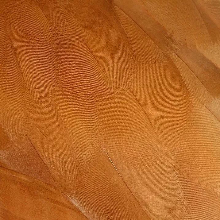 15300268619196dc1de633e