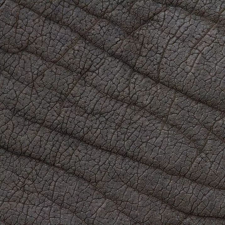 15300268581141aceb059a3