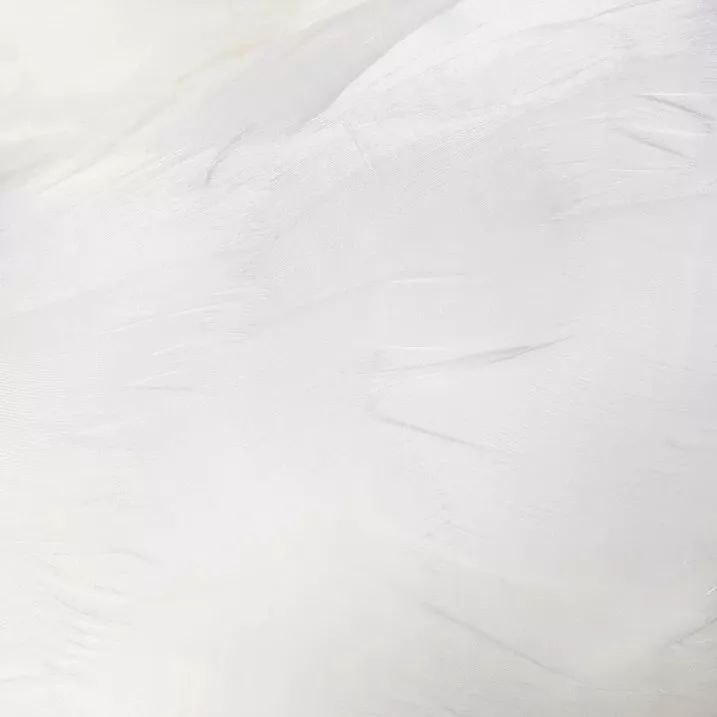 1530026863370c8cb11c6dc