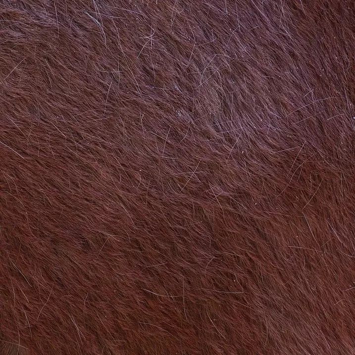 15300268632080d29a0da68