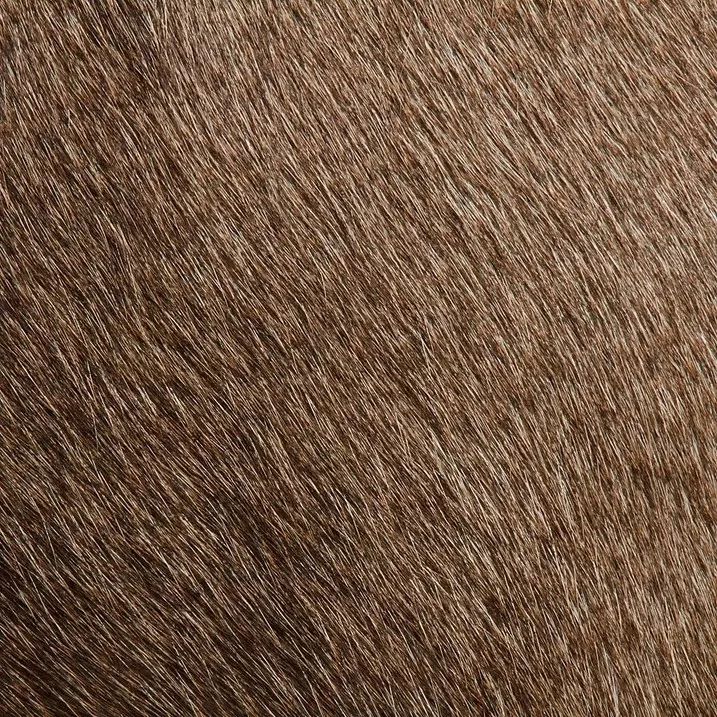 153002686692128c1d9d0ed